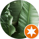 noelle deborah profile picture